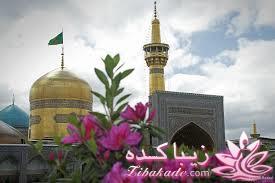 امــــام פֿـوبے ها میلادتان مبـــــارک 